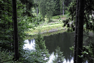 Unterer Grumbacher Teich Oberharzer Wasserwirtschaft 350 Bilder